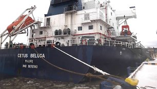 „Cetus Beluga“ laivas