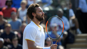 Ernestas Gulbis