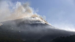Prancūzijoje plečiasi mi&scaron;kų gaisrai