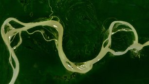 Amazonės upė