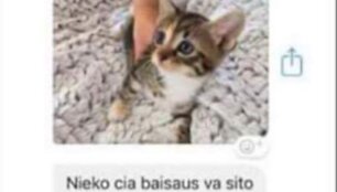 I&scaron; susira&scaron;inėjimų feisbuke