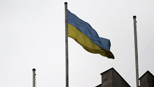 Ukrainos vėliava ant vyriausybės pastato Donecke