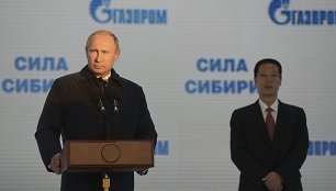 Rusijos prezidentas Vladimiras Putinas ir Kinijos vicepremjeras Zhang Gaoli