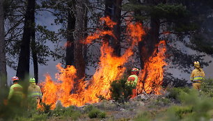 Ispanija ir Vokietija grumiasi su miškų gaisrais, tęsiantis karščio bangai