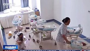 Slaugytojos per žemės drebėjimą Kinijoje griebė saugoti naujagimius