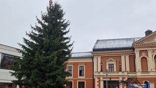 Kalėdinė eglė jau pasiekė Klaipėdos Teatro aik&scaron;tę.