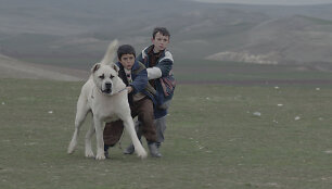 sivas