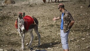 Nepasakyčiau, kad Jordanijoje asilai draugi&scaron;ki. Jie į atvykėlį žvelgia i&scaron; auk&scaron;to