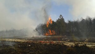 Gaisras Kur&scaron;ių Nerijos nacionaliniame parke 