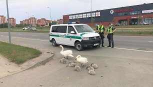 Pareigūnai trumpam sustabdė eismą