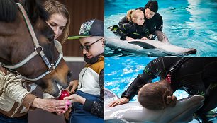 Asistuojamoji gyvūnų terapija Lietuvoje: „gydytojais“ tampa ir delfinai, ir žirgai