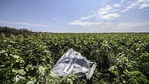 Numu&scaron;to &bdquo;Malaysia Airlines&ldquo; lėktuvo nuolaužos Donecke, Ukrainoje.