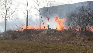 Panevėžyje liepsnoja žolė.