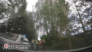 Mafiozo gaudynės