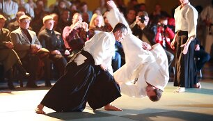 Aikido festivalio akimirka