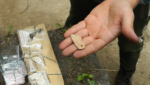 Archeologiniai radiniai Mineikiškių piliakalnyje