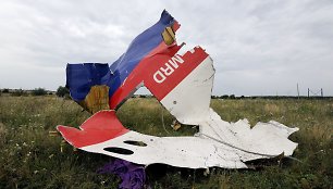 Numušto „Malaysia Airlines“ lėktuvo nuolaužos Donecke, Ukrainoje.