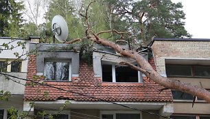 Vilniuje ant namo užvirtusi pušis sulaužė namo stogą