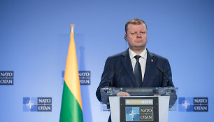 S.Skvernelis susitiko su NATO generaliniu sekretoriumi Jensu Stoltenbergu