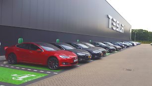 „Tesla“ gamykla Tilburge 