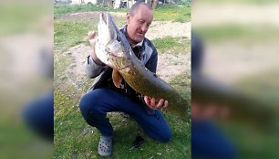 Dotnuvos seniūnijos Jaunakaimio gyventojas Arūnas Lukoševičius sugavo daugiau nei 6 kilogramus sveriančią plėšrūnę.