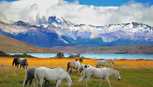 Torres del Paine