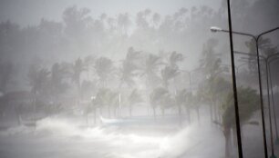 Taifūnas Hagupit pasiekė Filipinus 