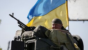 Ukrainos karys