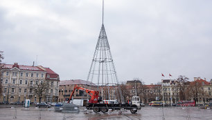 Vilniaus Katedros aikštėje pradėta statyti kalėdinė eglė