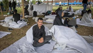 Ter Apel pabėgėlių centras Nyderlanduose