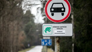 Vilniaus Vingio parke dėl varlių migracijos ribojamas eismas