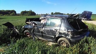 Avarija Nociūnų kaime &ndash; vertėsi &bdquo;Peugeot&ldquo;