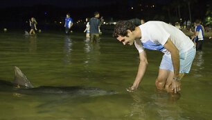 Rogeris Federeris