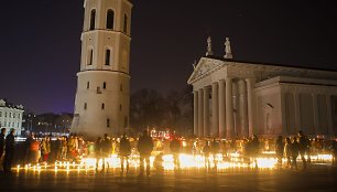 Žemės valanda Vilniuje