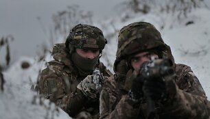 Ukrainos kariai
