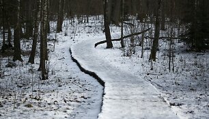 Žiemi&scaron;kas sekmadienis mi&scaron;ke