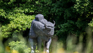 Kauno ąžuolyno parkas