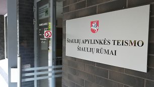 Suėmimas Šiaulių apylinkės teisme