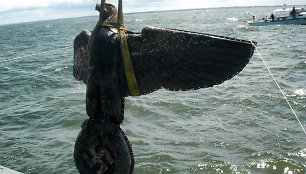 Erelio skulptūros iškėlimas iš jūros dugno