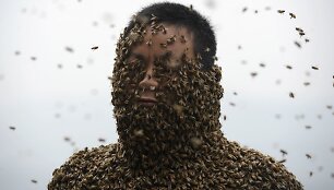 Bitės ant Kinijos bitininko She Pingo