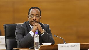 Pagrindinis taikos derybų vedlys Etiopijos ministro pirmininko patarėjas saugumo klausimais Redwanas Husseinas