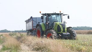 Žemdirbiai pradeda pilti šiemetinius aruodus