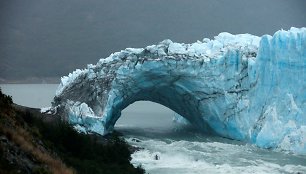 Argentinos Perito moreno ledynas