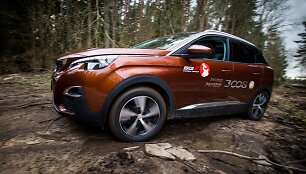&bdquo;Peugeot 3008&ldquo;