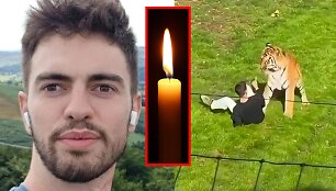 Williamas Chapmanas ir amūrinis tigras