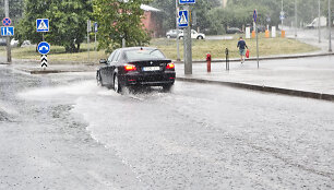 Liūtis Vilniuje