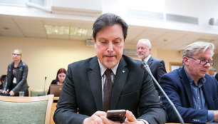 Gabrielius Landsbergis ir Saulius Skvernelis