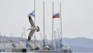 Uostas Vladivostoke