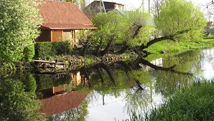 Žagarės Fringe festivalis