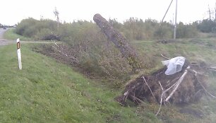 Lietuvoje siautė stiprus vėjas